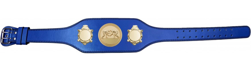 GRAPPLING CHAMPIONSHIP BELT-BUD003/G/GRAPG-4 COLOURS